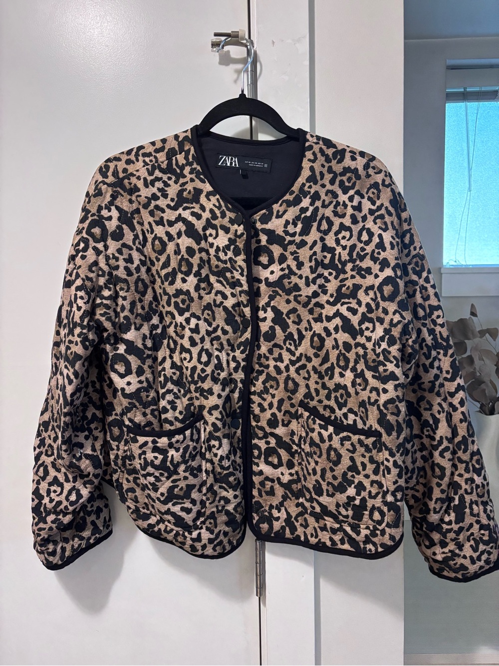 ZARA Leopard Jacket